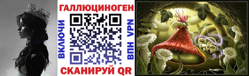 где можно купить Рассказово Галлюциногенные грибы MAGIC MUSHROOMS